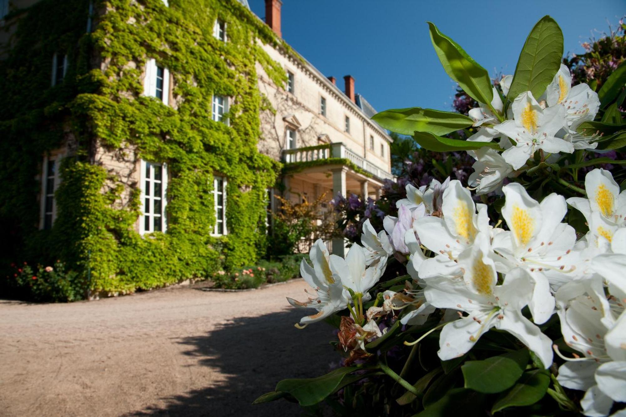 Chateau De Bellevue B&B Villié-Morgon Exteriér fotografie
